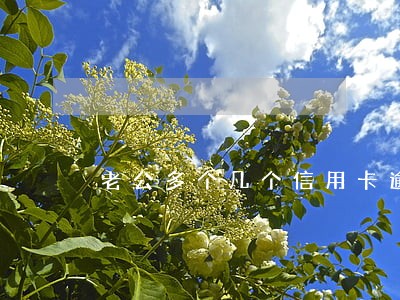 老公多个几个信用卡逾期严重