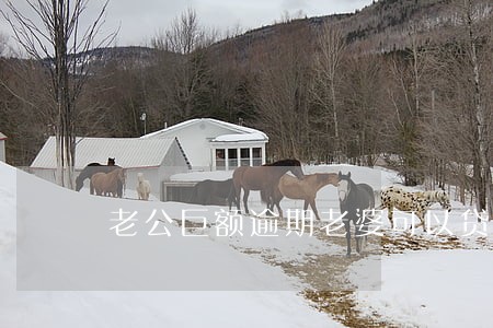 老公巨额逾期老婆可以贷公积金吗 老公巨额逾期老婆可以贷公积金吗