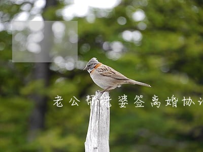 老公帮老婆签离婚协议 老公帮老婆签离婚协议
