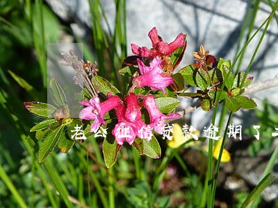 老公征信贷款逾期了二十多次 老公征信贷款逾期了二十多次