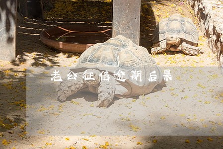 老公征信逾期后果 老公征信逾期后果