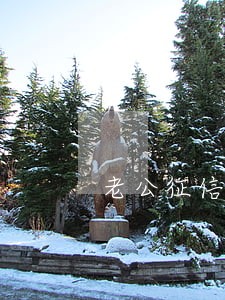 老公征信逾期老婆可以贷款吗 老公征信逾期老婆可以贷款吗