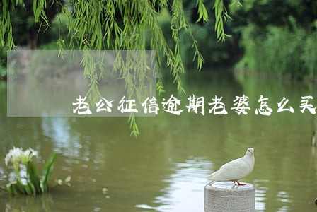 老公征信逾期老婆怎么买房 老公征信逾期老婆怎么买房