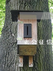 老公征信逾期记录怎么办 老公征信逾期记录怎么办