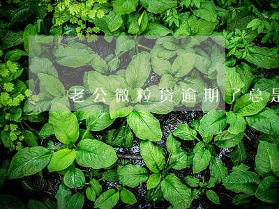 老公微粒贷逾期了总是给我打电话 老公微粒贷逾期了总是给我打电话