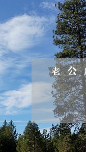 老公房贷逾期会影响老婆车贷吗 老公房贷逾期会影响老婆车贷吗