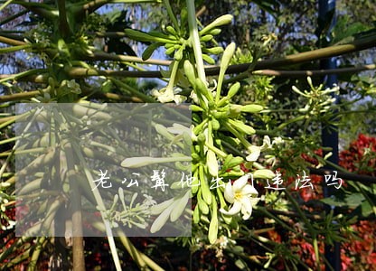 老公撵他出门违法吗