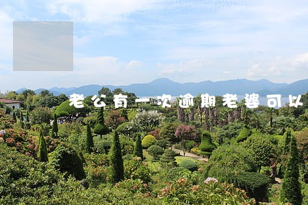 老公有一次逾期老婆可以买房不 老公有一次逾期老婆可以买房不