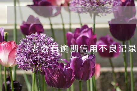 老公有逾期信用不良记录 老公有逾期信用不良记录