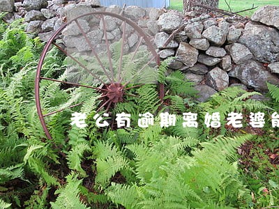 老公有逾期离婚老婆能申请房贷吗 老公有逾期离婚老婆能申请房贷吗
