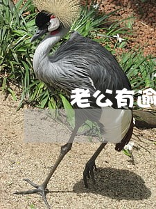 老公有逾期老婆可以房贷吗 老公有逾期老婆可以房贷吗