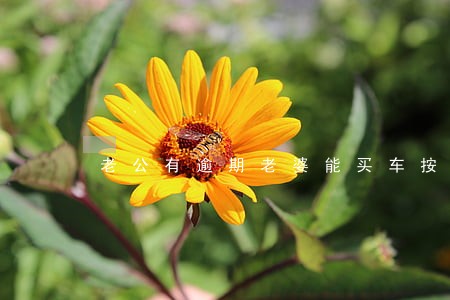 老公有逾期老婆能买车按揭吗 老公有逾期老婆能买车按揭吗