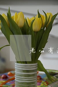 老公有逾期老婆能信用贷款吗 老公有逾期老婆能信用贷款吗