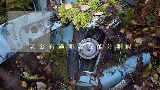 老公有逾期老婆能分期吗 老公有逾期老婆能分期吗