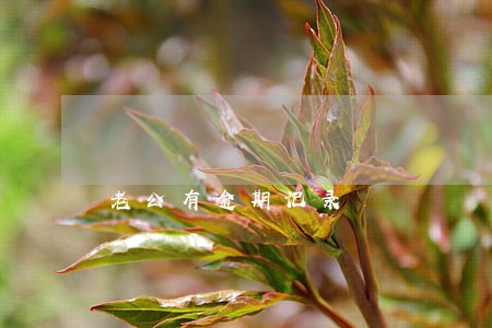 老公有逾期记录 老公有逾期记录