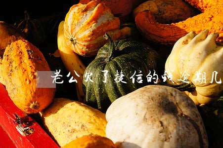 老公欠了捷信的钱逾期几个月了 老公欠了捷信的钱逾期几个月了