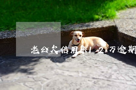 老公欠信用卡12万逾期怎么办
