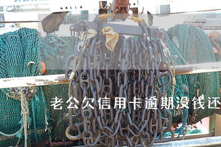 老公欠信用卡逾期没钱还懒我 老公欠信用卡逾期没钱还懒我