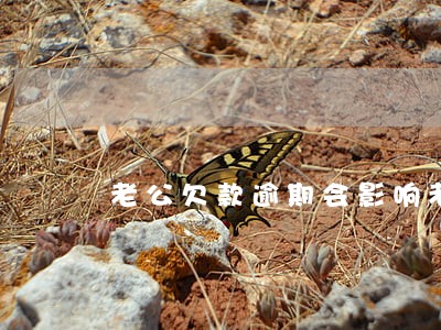 老公欠款逾期会影响老婆征信吗 老公欠款逾期会影响老婆征信吗