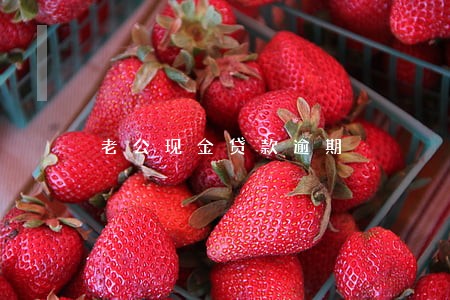 老公现金贷款逾期 老公现金贷款逾期