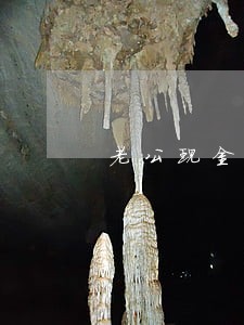 老公现金贷逾期 老公现金贷逾期