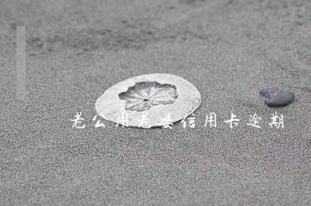 老公用老婆信用卡逾期 老公用老婆信用卡逾期