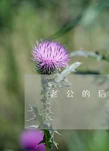 老公的信用卡逾期了老婆需要还么 老公的信用卡逾期了老婆需要还么