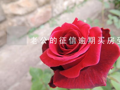 老公的征信逾期买房受影响吗 老公的征信逾期买房受影响吗