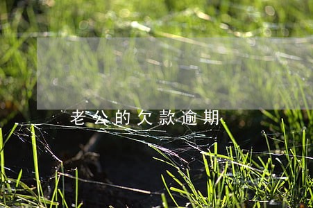 老公的欠款逾期 老公的欠款逾期