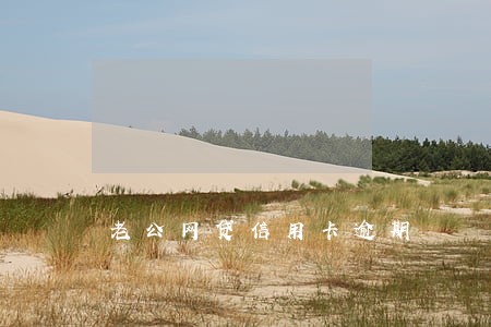老公网贷信用卡逾期 老公网贷信用卡逾期