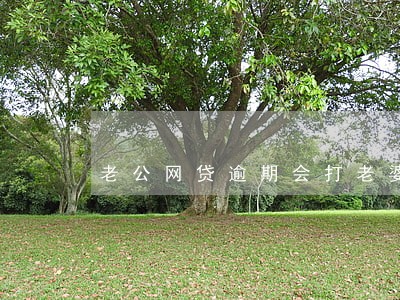 老公网贷逾期会打老婆单位电话吗 老公网贷逾期会打老婆单位电话吗