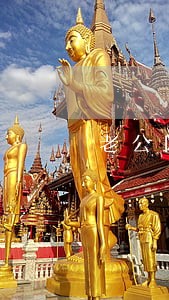 老公网贷逾期发短信告知立案 老公网贷逾期发短信告知立案