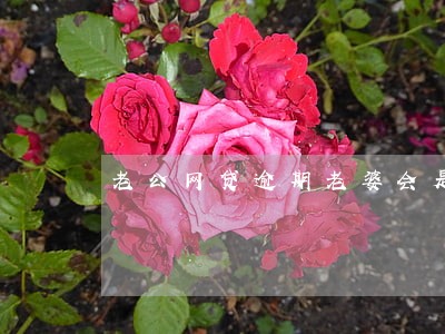 老公网贷逾期老婆会是失信人员吗 老公网贷逾期老婆会是失信人员吗
