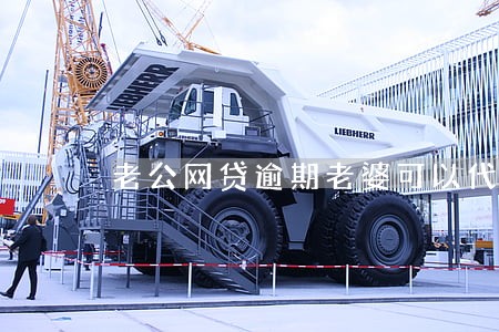 老公网贷逾期老婆可以代投诉吗 老公网贷逾期老婆可以代投诉吗