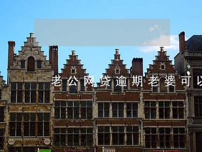 老公网贷逾期老婆可以按揭买房吗 老公网贷逾期老婆可以按揭买房吗