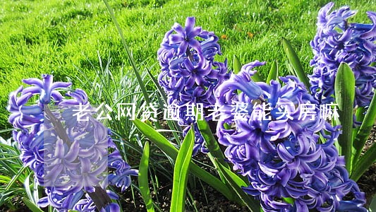 老公网贷逾期老婆能买房嘛 老公网贷逾期老婆能买房嘛