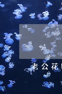 老公花呗逾期了影响老婆买车吗 老公花呗逾期了影响老婆买车吗
