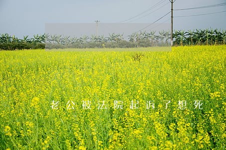 老公被法院起诉了想死 老公被法院起诉了想死