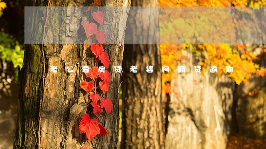 老公要房贷老婆网商贷逾期 老公要房贷老婆网商贷逾期