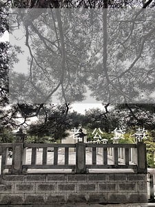 老公贷款逾期会影响担保人吗 老公贷款逾期会影响担保人吗
