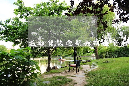 老公贷款逾期会找老婆麻烦吗 老公贷款逾期会找老婆麻烦吗