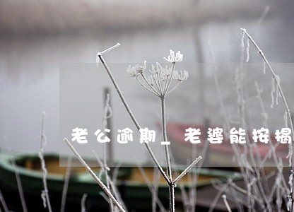 老公逾期_老婆能按揭吗 老公逾期_老婆能按揭吗