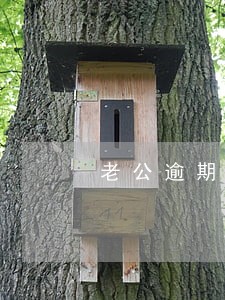 老公逾期买房怎么办