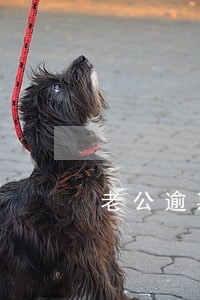 老公逾期催收一直打我电话 老公逾期催收一直打我电话