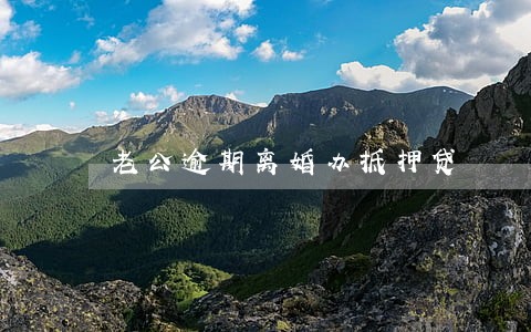 老公逾期离婚办抵押贷 老公逾期离婚办抵押贷