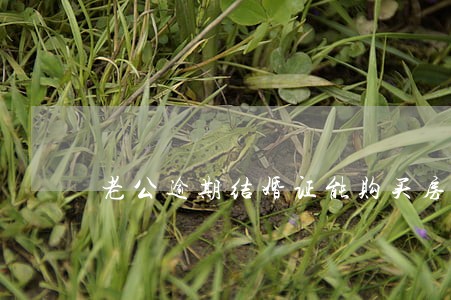 老公逾期结婚证能购买房吗 老公逾期结婚证能购买房吗