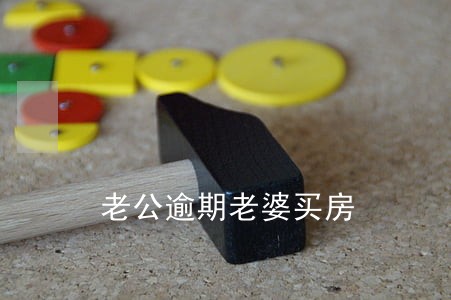 老公逾期老婆买房 老公逾期老婆买房
