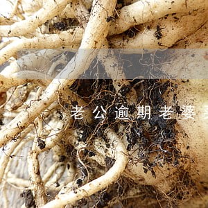 老公逾期老婆买房有影响吗 老公逾期老婆买房有影响吗