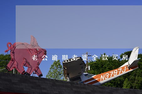 老公逾期老婆全款买房