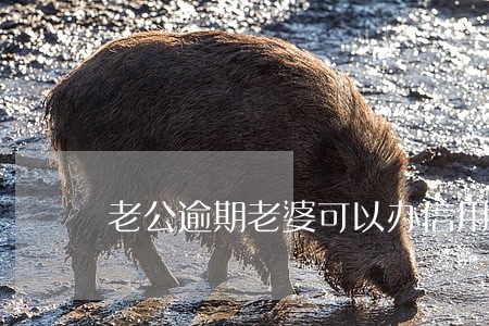 老公逾期老婆可以办信用卡吗6 老公逾期老婆可以办信用卡吗6